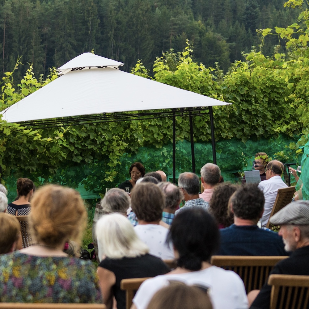 230825 LS Lesung im Weingarten Staubmann